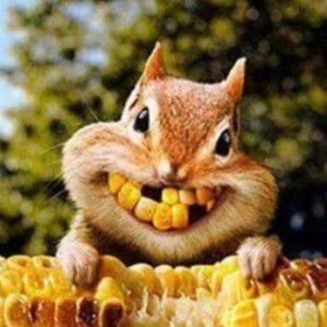 Atika Rahmah profile icon