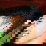 Sandi Ramdani profile icon