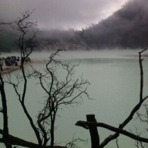 Wulandari profile icon