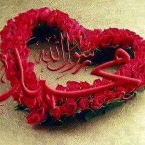 Zoya Ali profile icon