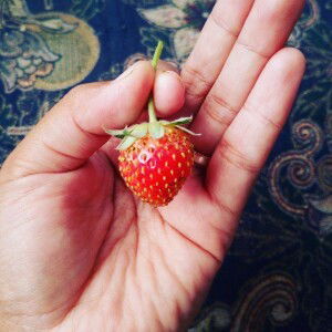 Nurul Mawla profile icon