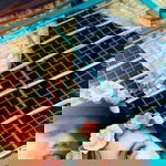 Khenshat Ckham Bhengat profile icon