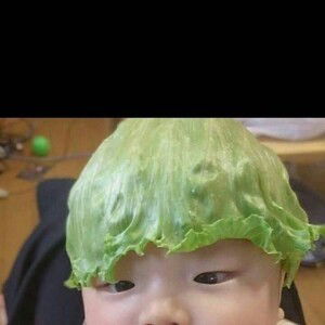 Diana Davidson profile icon