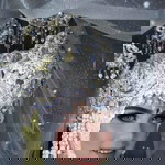 Evi Fina profile icon