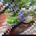 Pim Tosetthee profile icon