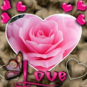 نور ليليه profile icon