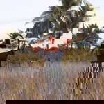 Its fatimamay profile icon