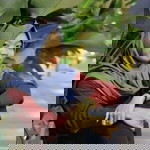 Iidha Nugroho profile icon