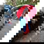 Chonthicha profile icon