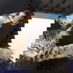 Ahliya Razak profile icon