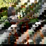 อีกครึ่งของฝัน ปลายรุ้ง profile icon