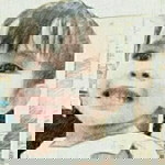 Ronalyn Mainot Gatdola profile icon