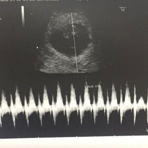 テキーラ テキーラ profile icon