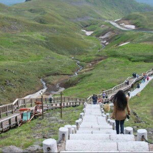 Toped Phg profile icon