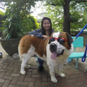 liezel maneja profile icon