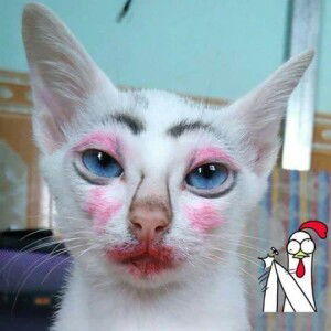 Patcharin Maneewan profile icon