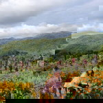 Nathasia Reyes profile icon