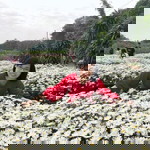 Nguyễn Tâm profile icon