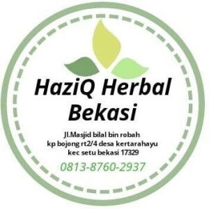 Nur Hasanah profile icon