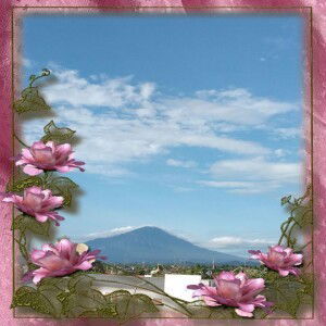 Siti Amaliyah profile icon