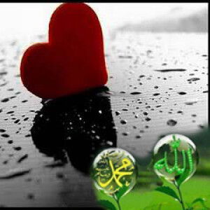 eka sulistiarini profile icon