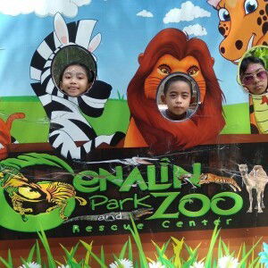 Leigh Araco profile icon