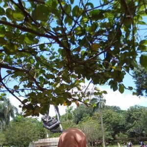 Merlin Apriyanti profile icon