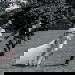 Kim Cariaga profile icon