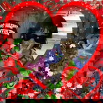 Ama Wipe Ama Wipe NazLah profile icon