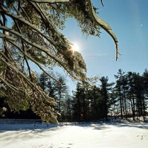 Christin Tan profile icon