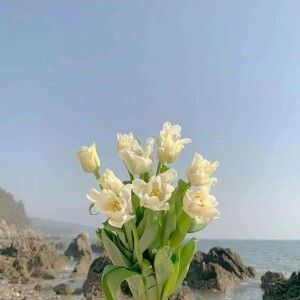 Wike Widiyawati profile icon