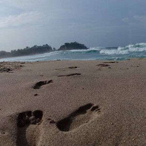 Nurul Fadilah profile icon