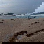 Nurul Fadilah profile icon