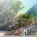 Ann Calago Staana profile icon