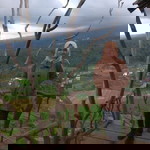 Komara Suci profile icon