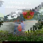 Maya Rayhan profile icon