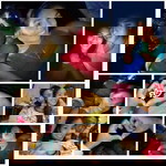 Jhenivie G. Rodriguez profile icon