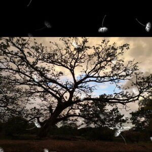 Merald Esmeralda profile icon