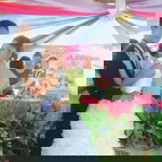 Albert Pacursa Belaras profile icon