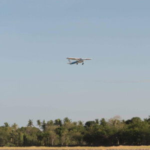 Frances Santos profile icon