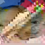 Afiqah Farik profile icon