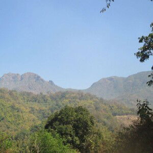 คน บนดอย profile icon