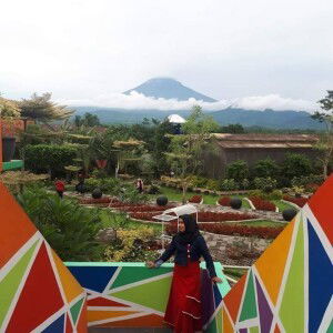 Budi Astuti profile icon