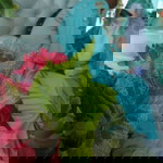 Millah El Khalilyy profile icon