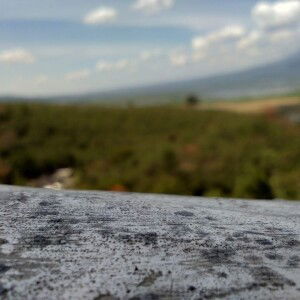 Rayya Sifa profile icon