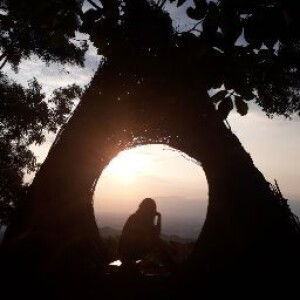 vii vii profile icon