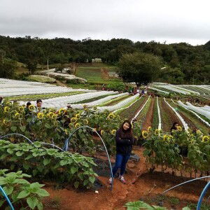 Mylene Guay Villanueva profile icon