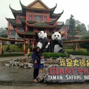 Momy Arthur'Athar profile icon