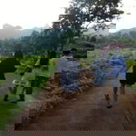 Thanä Weerö profile icon