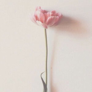 Yanti Sihombing profile icon